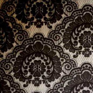 Women's Black Lace Sheer Fabric